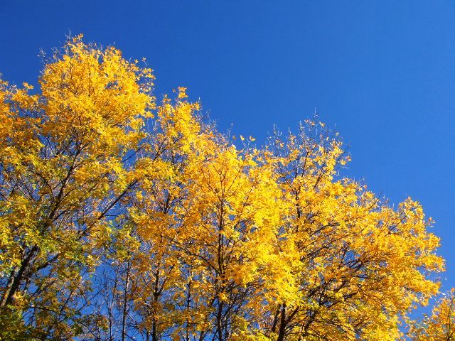 c0062603_02154505.jpg
