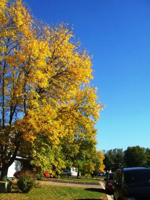 c0062603_02160837.jpg