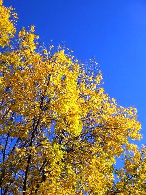 c0062603_02163478.jpg