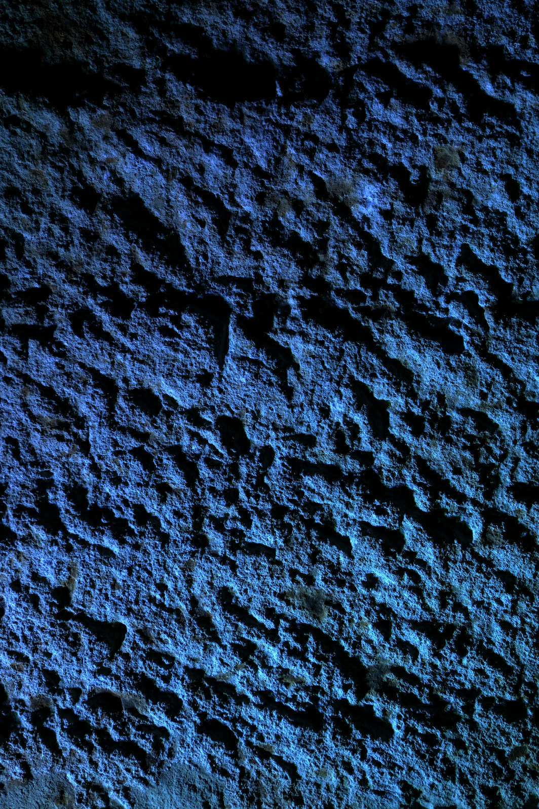 a0155104_14283318.jpg