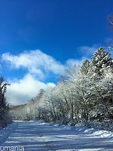 b0061004_20423734.jpg