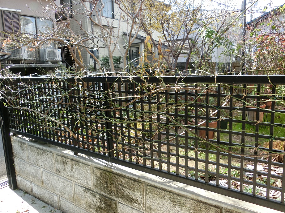 e0234004_19211842.jpg
