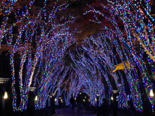 2016年師走の大邱　④メリークリスマス！　国債報償記念運動公園のクリスマスイルミ_a0140305_01253262.jpg