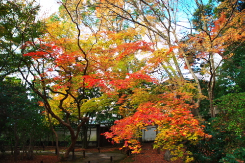 a0263109_19012606.jpg