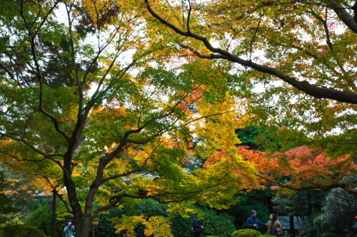 a0263109_19012712.jpg