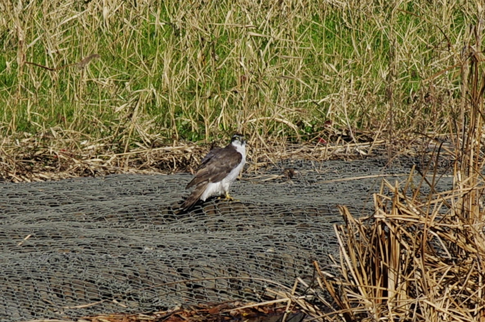 b0151409_20483842.jpg