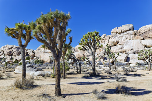 c0148812_11112536.jpg