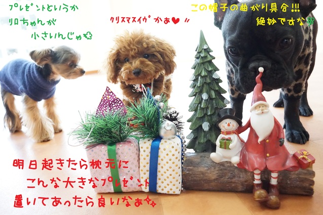 クリスマスイヴはソワソワヽ(*ﾟ∀ﾟ)ﾉ_d0220513_17154455.jpg