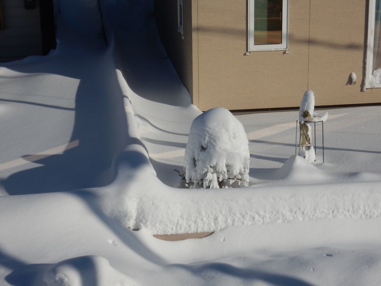 雪・雪・雪_c0025115_21151407.jpg