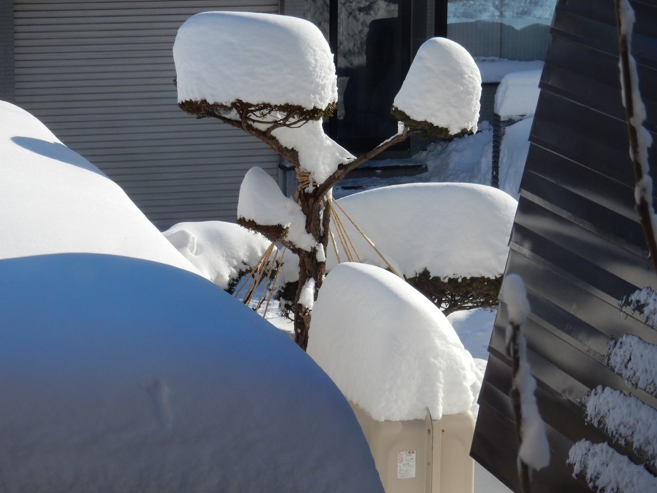 雪・雪・雪_c0025115_21154475.jpg