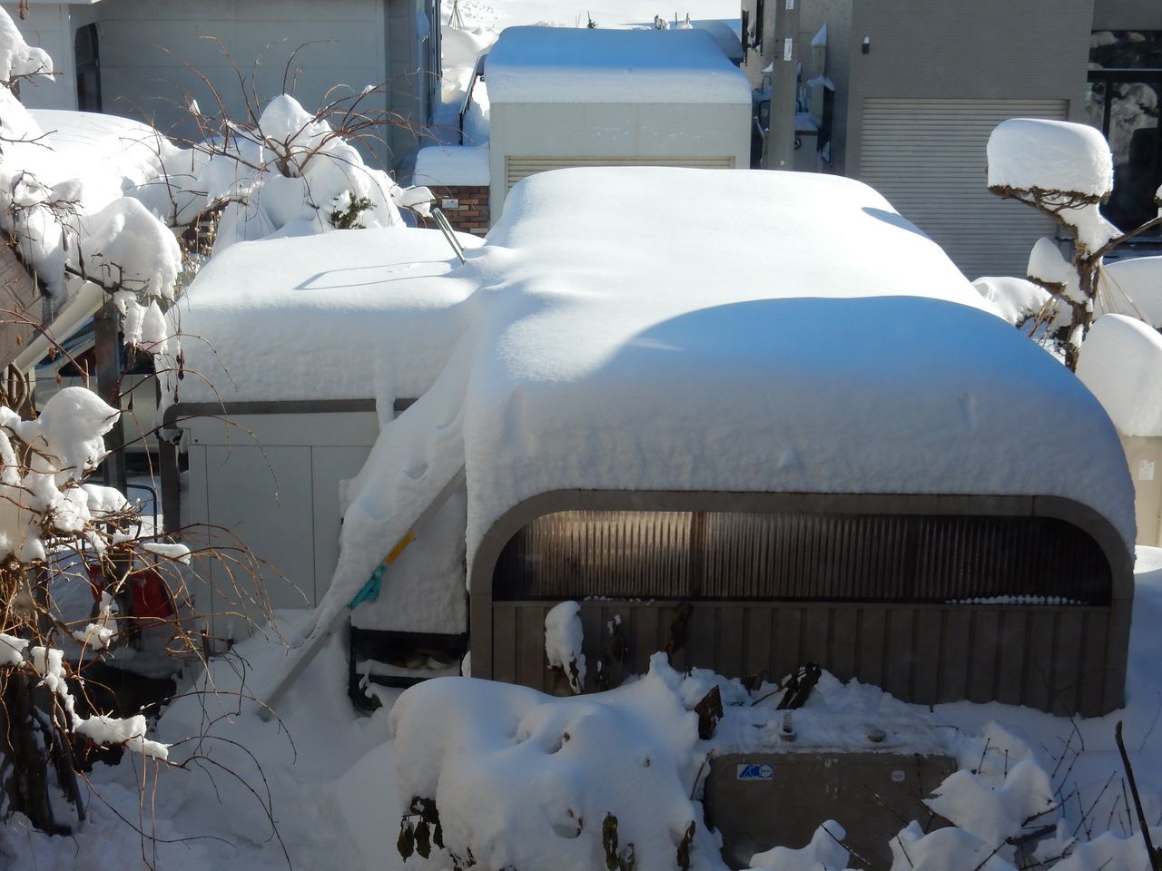 雪・雪・雪_c0025115_21161449.jpg