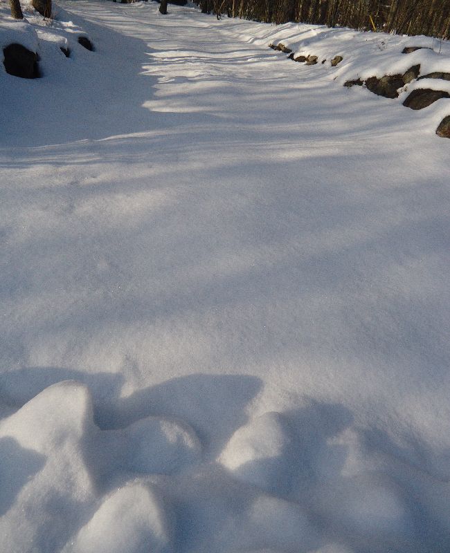 b0248920_15232887.jpg