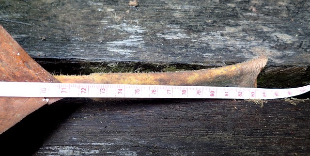 c0369423_22444448.jpg