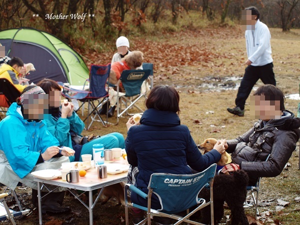 第6回キャンプ『マザーウルフCAMP~2016冬~in 静岡』②本篇_e0191026_1761233.jpg