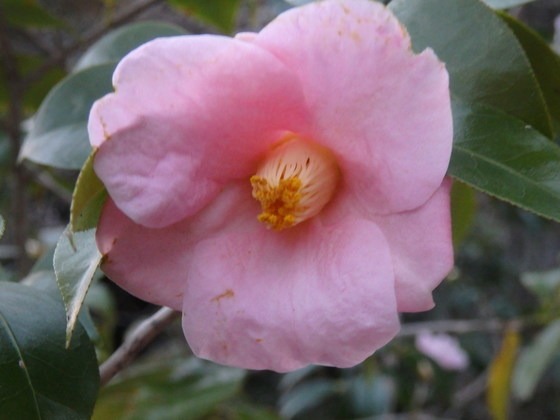 a0054240_21431634.jpg