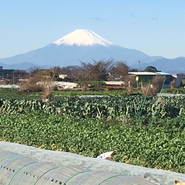 イブの朝　ジョイア畑空の風景　富士山がど～んとくっきり・・お出迎え！？_c0222448_11510473.jpg