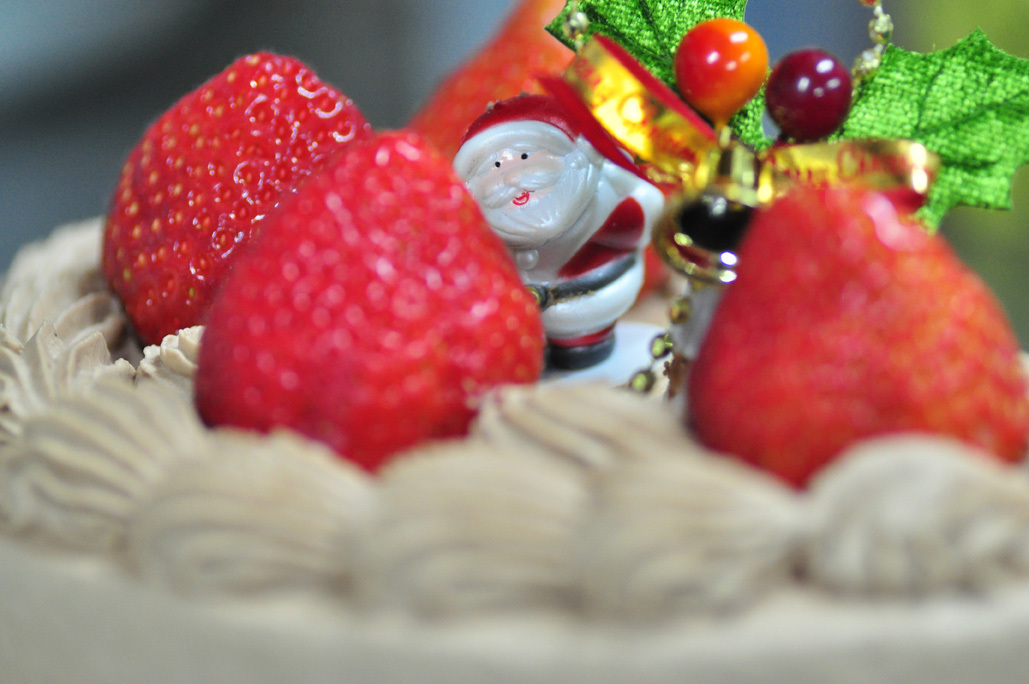 クリスマスケーキを美味しく食べる方法 12 24 綾部ふれあい牧場 日記