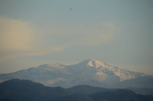 d0000952_19361013.gif