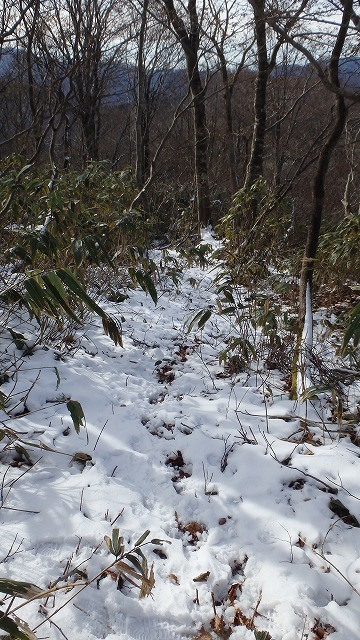 c0097754_12202481.jpg