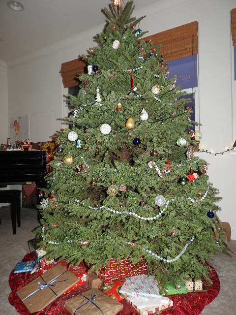 c0115366_11582834.jpg
