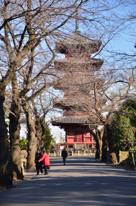 今年の写真から～池上本門寺_b0338976_17433305.jpg