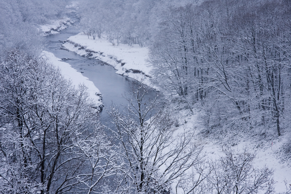 b0247880_7192972.jpg