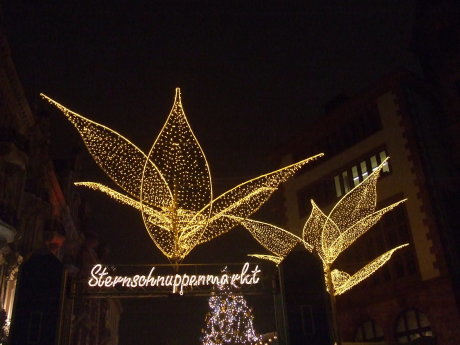 d0030693_19325215.jpg
