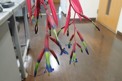 f0203094_95398.jpg