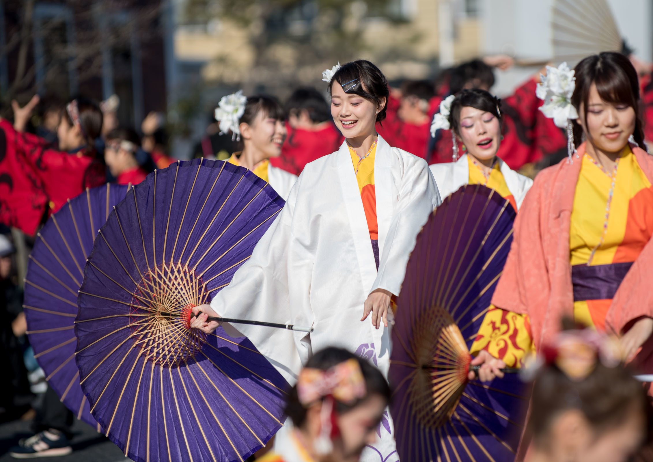 バサラカーニバル2016『七代目お茶ノ子祭々』_f0184198_11313229.jpg