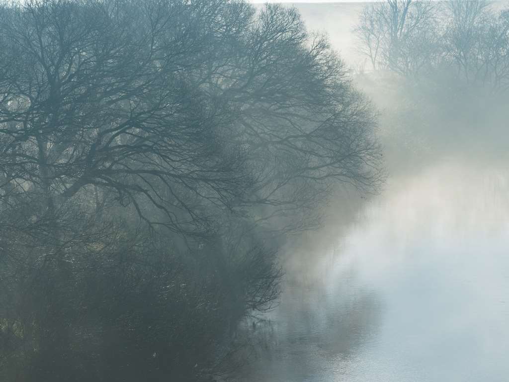 f0224100_22455890.jpg