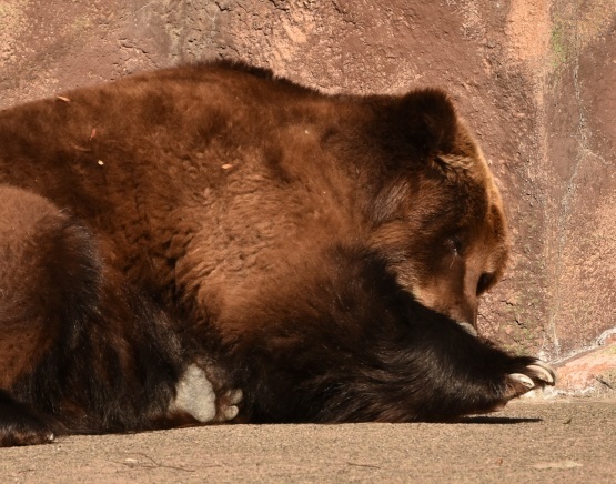 はまＺＯＯ　クリスマス_d0090801_10043064.jpg