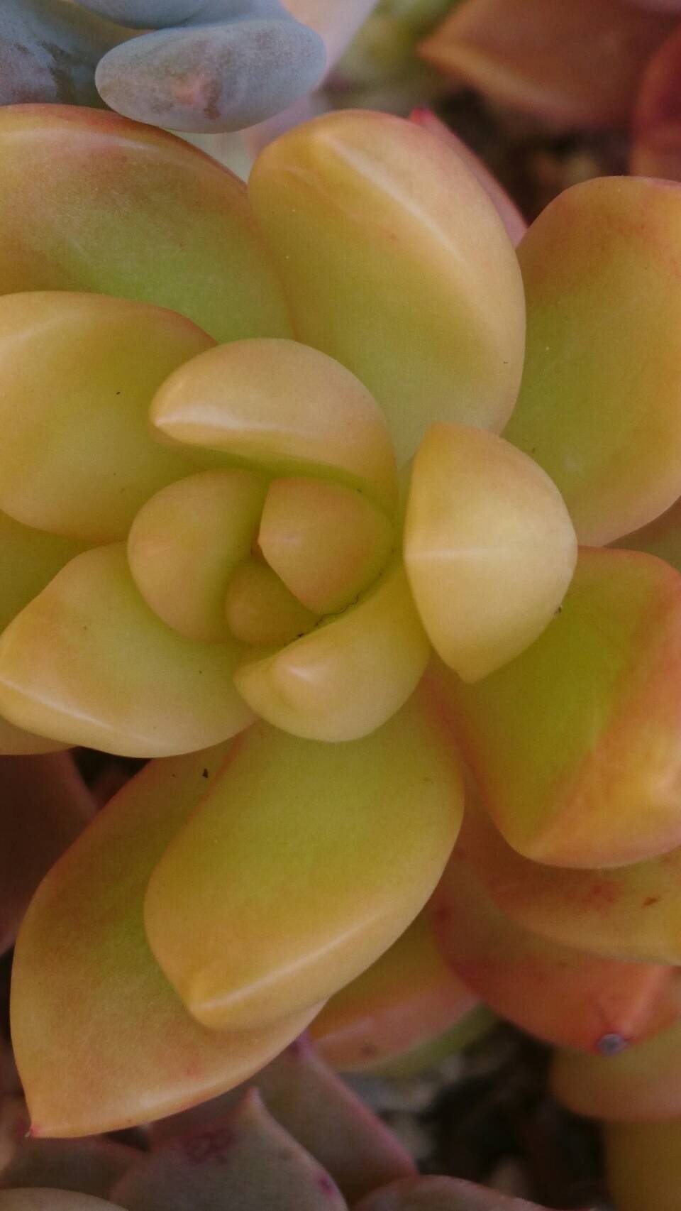 e0356901_18422731.jpg
