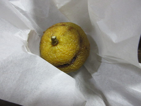 a0203003_21303815.jpg