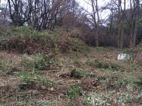 e0270403_11563720.jpg