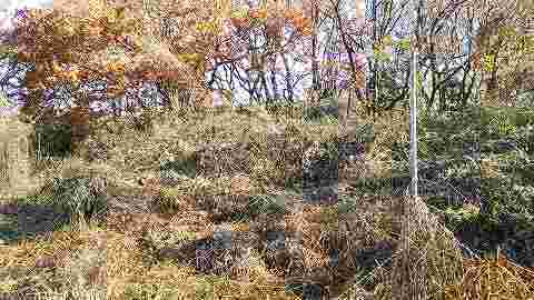 e0270403_12503466.jpg