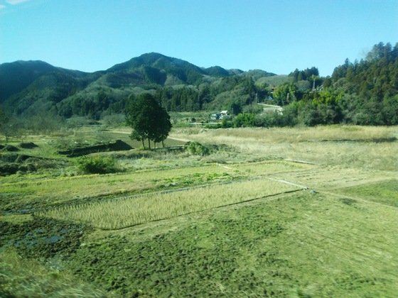 c0212604_1314023.jpg