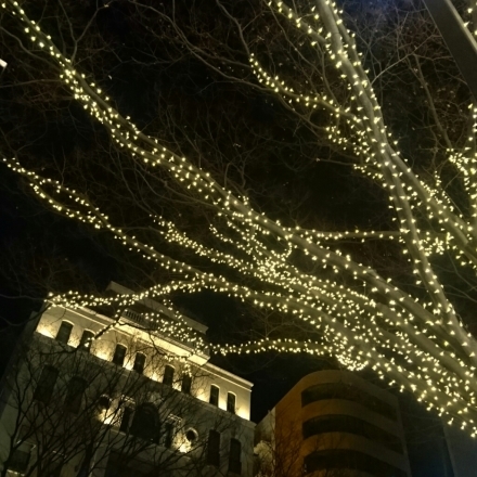 b0314807_21565636.jpg