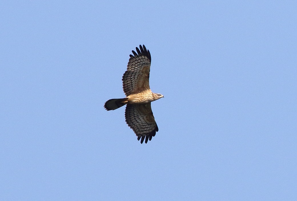 d0230507_1691978.jpg