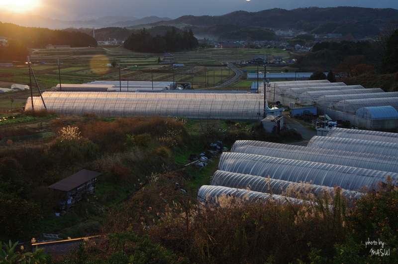 明日香村平田　ハウス残照_d0342307_22481692.jpg