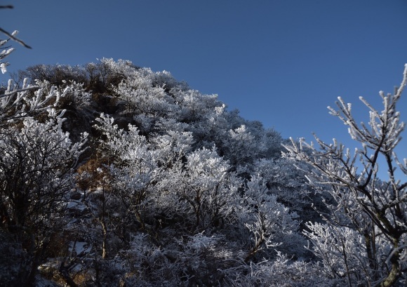 b0277008_20255100.jpg