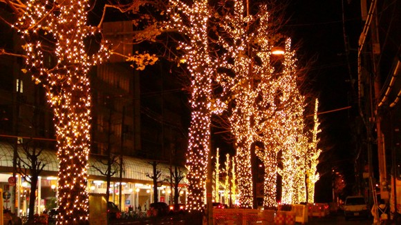 f0231709_15215839.jpg