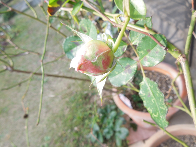 f0297809_2315060.jpg