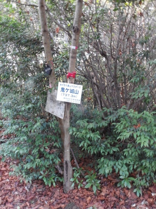白木山～鬼ヶ城山縦走_c0116915_2350629.jpg