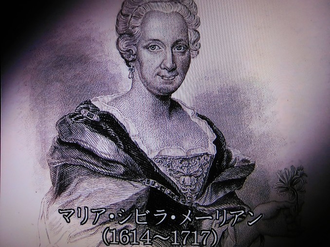 e0345320_10345620.jpg