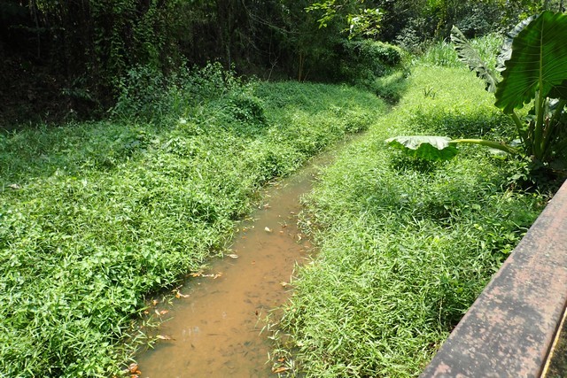 c0369423_20244722.jpg