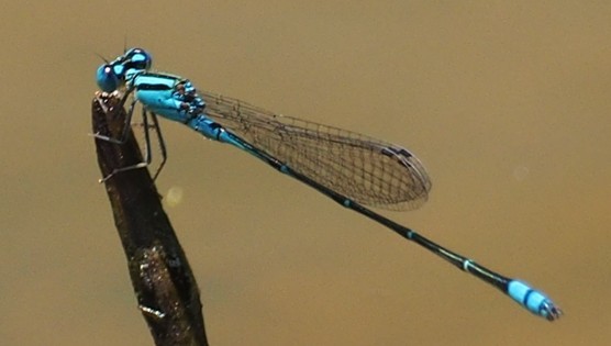 c0369423_20275855.jpg