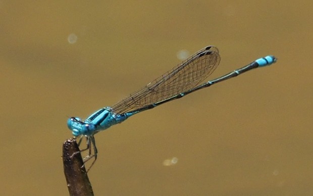 c0369423_20275862.jpg