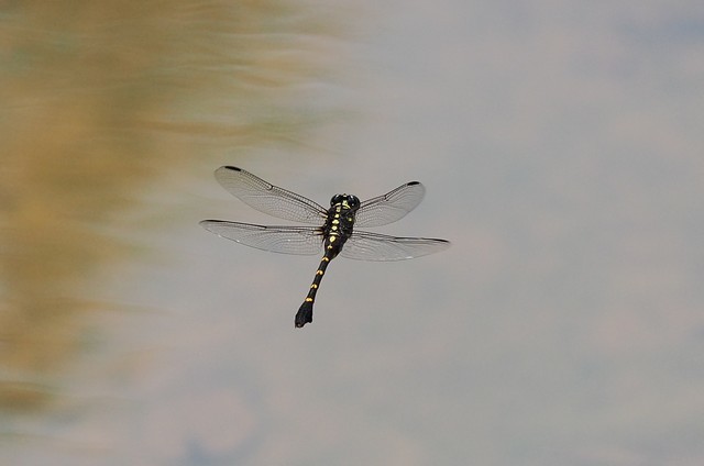 c0369423_20275957.jpg