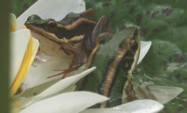 c0369423_20420460.jpg