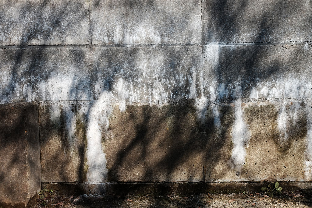a0328724_22215288.jpg